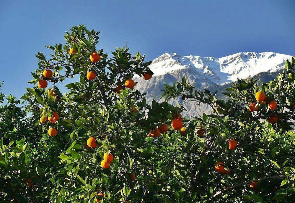 Tuncer Garden Hotel Kemer Exteriér fotografie